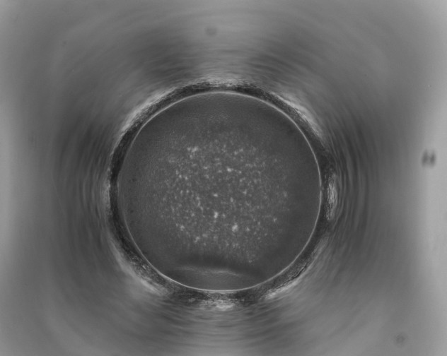 X0000091010492200708091605