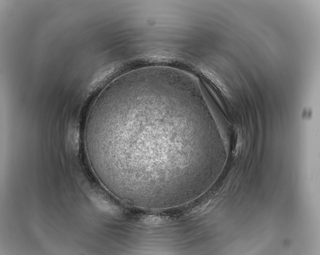 X0000091010494200708091604