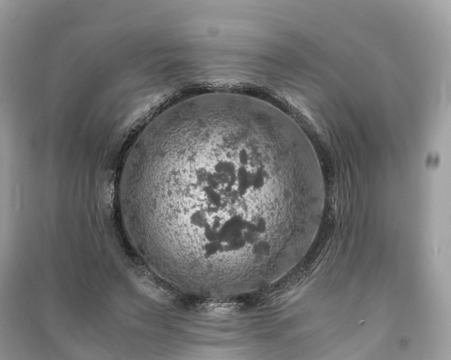 X0000091010495200708091604