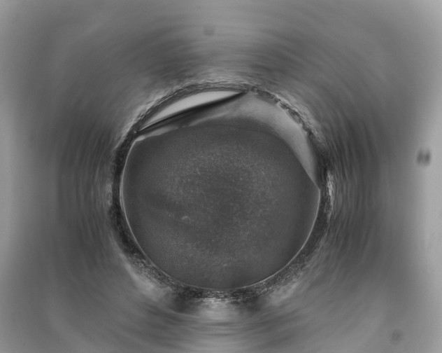 X0000091010496200708091604