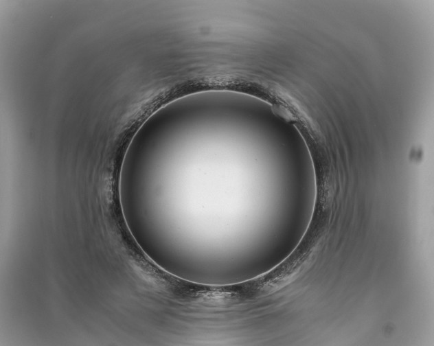 X0000091010497200708091604