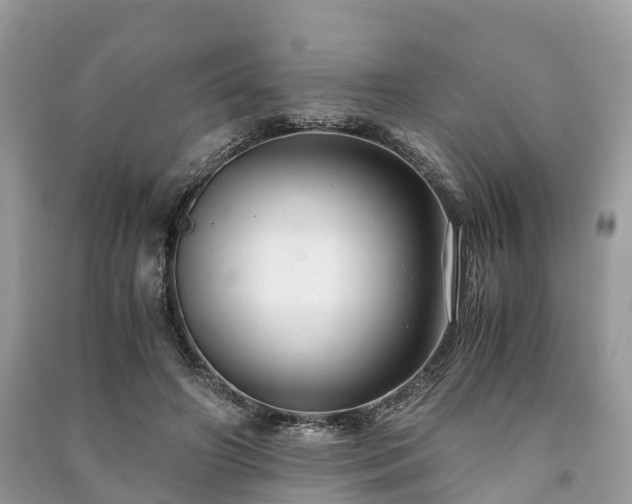 X0000091010498200708091604