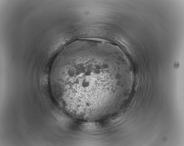 X0000091010499200708091604