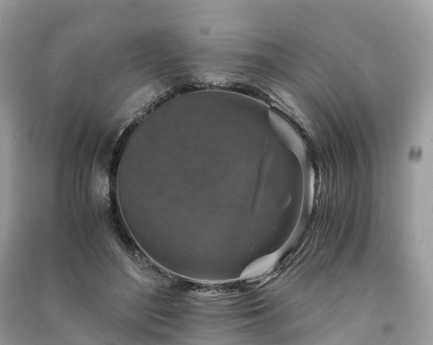 X0000091010500200708091604