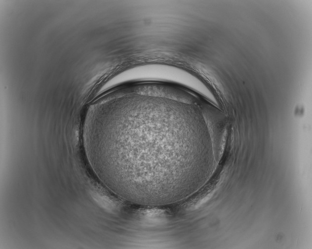 X0000091010501200708091604
