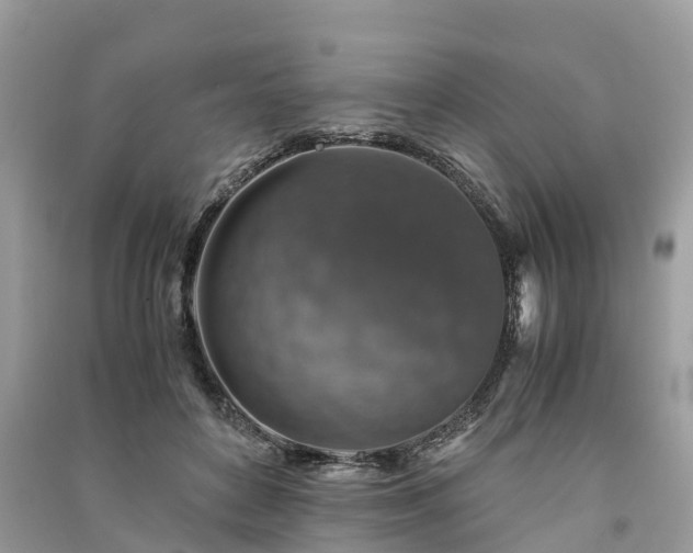 X0000091010504200708091604