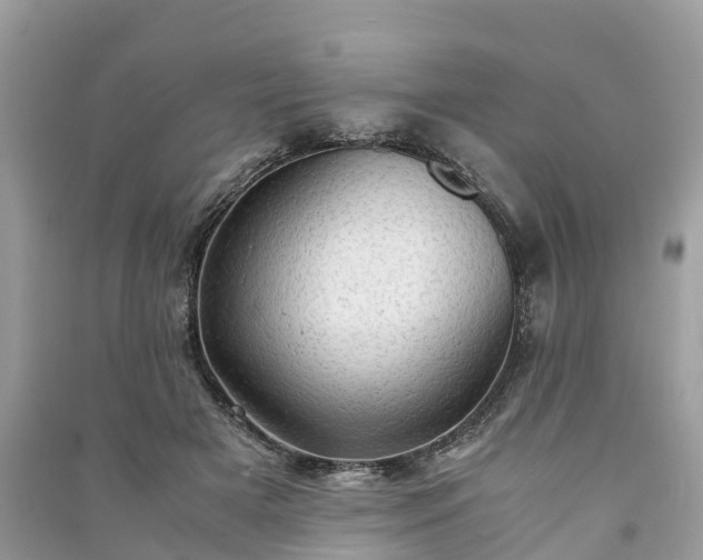 X0000091010505200708091604