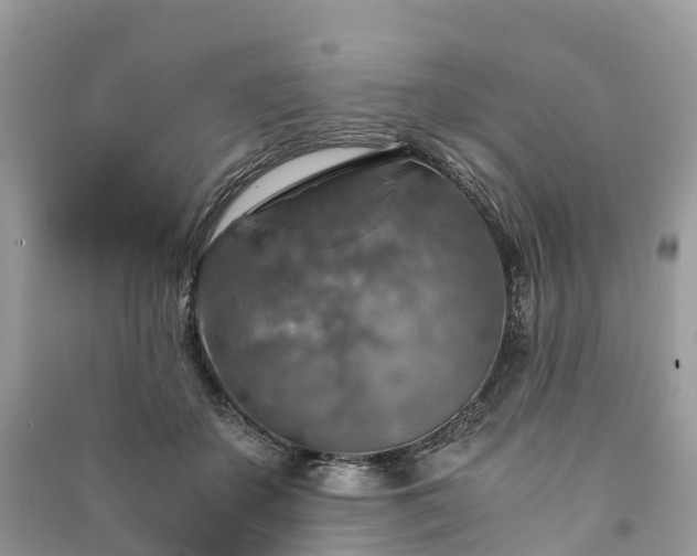 X0000091010507200708091604