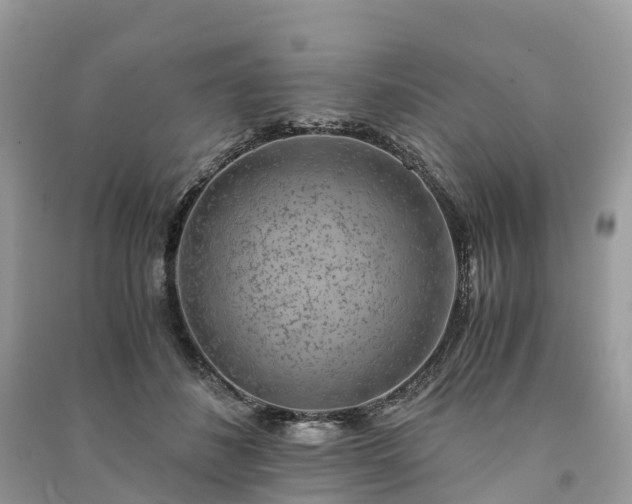 X0000091010508200708091604