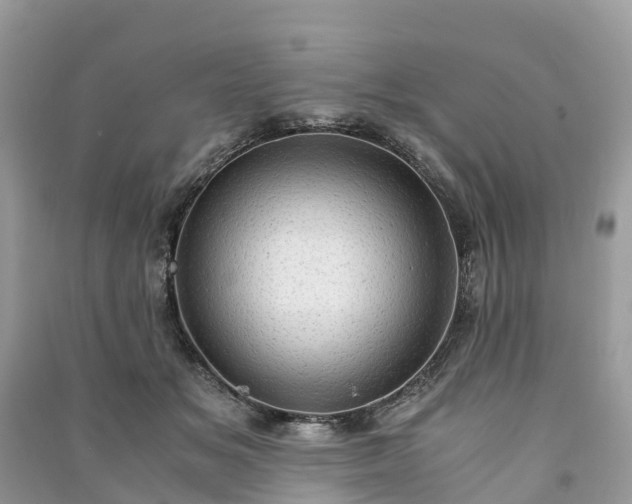 X0000091010509200708091604