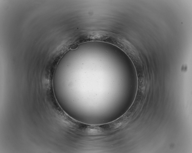 X0000091010510200708091604