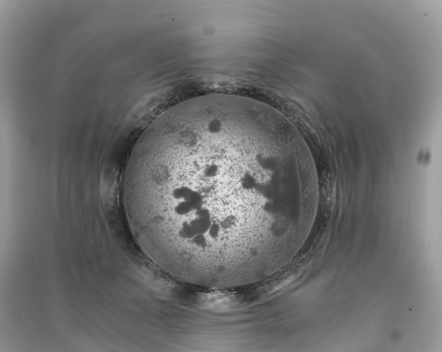 X0000091010511200708091604