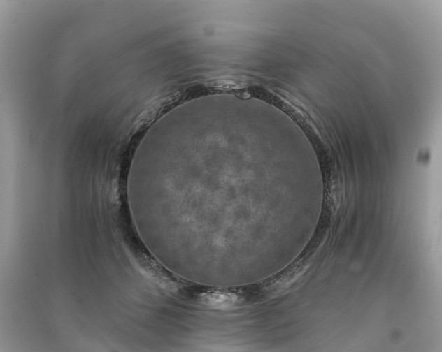 X0000091010512200708091604