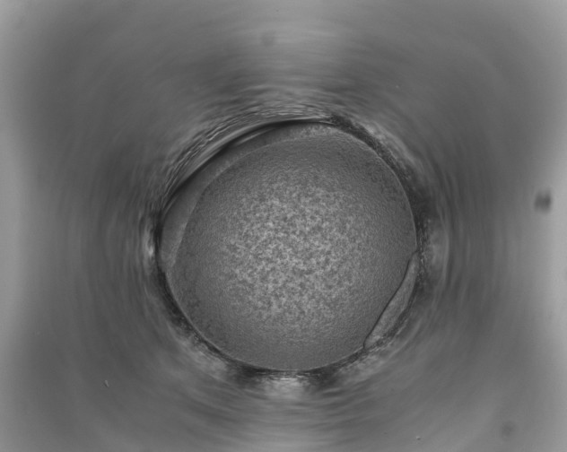 X0000091010513200708091604