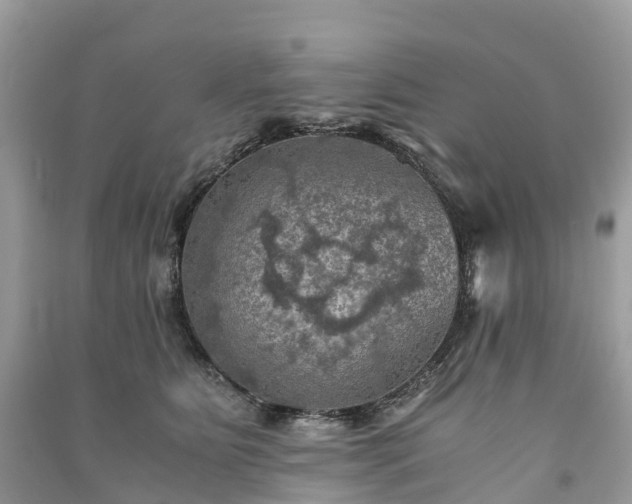 X0000091010515200708091604