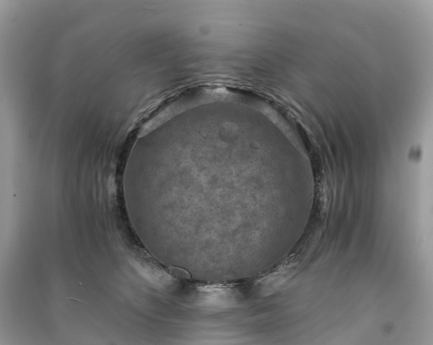 X0000091010516200708091604