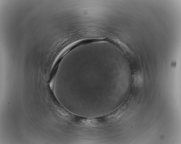 X0000091010517200708091604