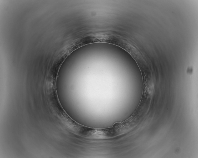 X0000091010518200708091604