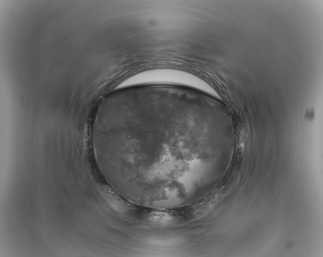 X0000091010519200708091604