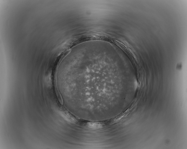 X0000091010520200708091604