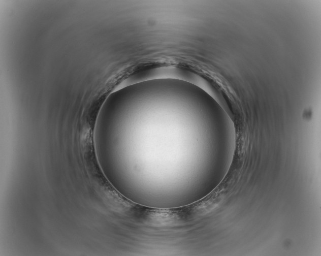 X0000091010521200708091604