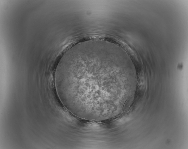 X0000091010523200708091604