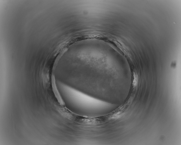 X0000091010524200708091604