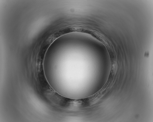 X0000091010525200708091604