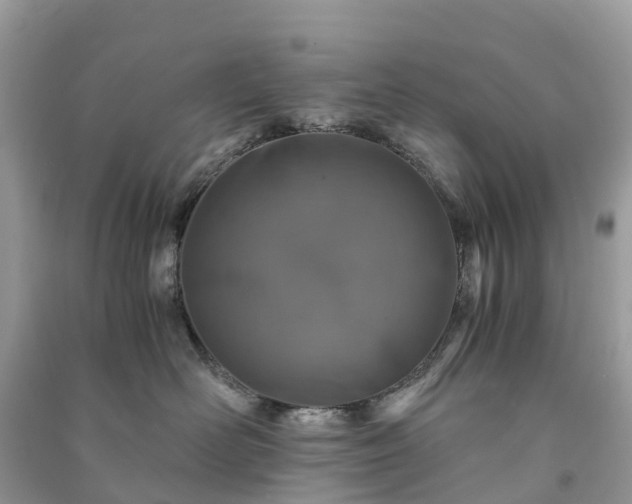 X0000091010526200708091604