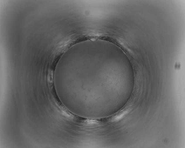 X0000091010528200708091604
