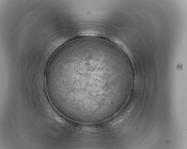 X0000091010529200708091603