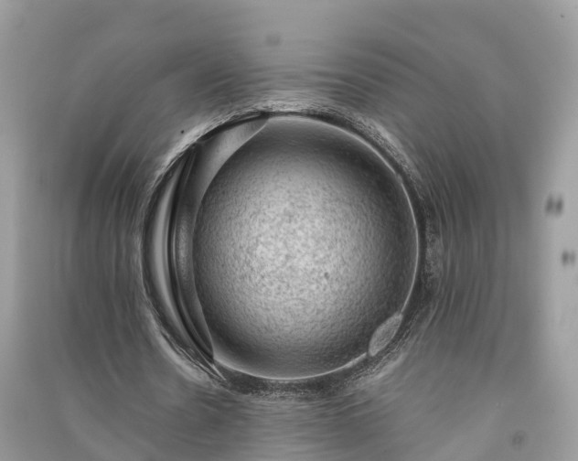 X0000091010530200708091603