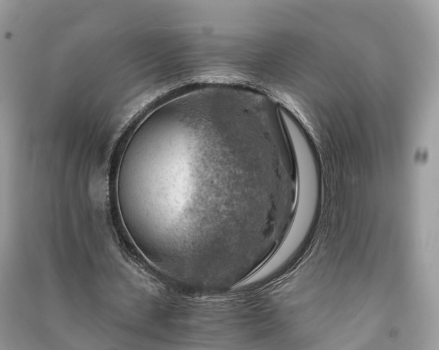 X0000091010531200708091603