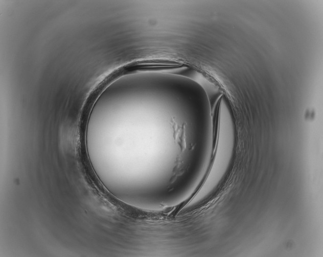 X0000091010532200708091603