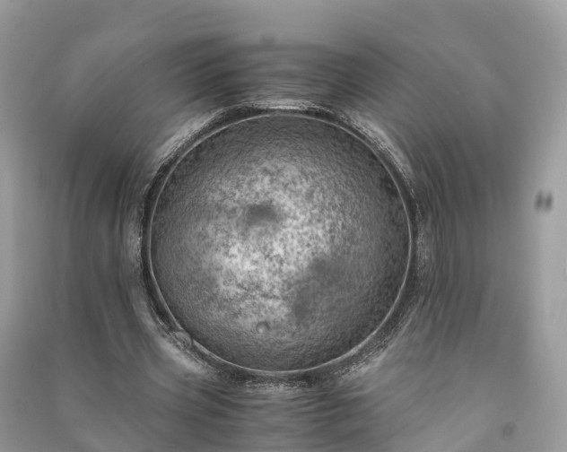 X0000091010533200708091603