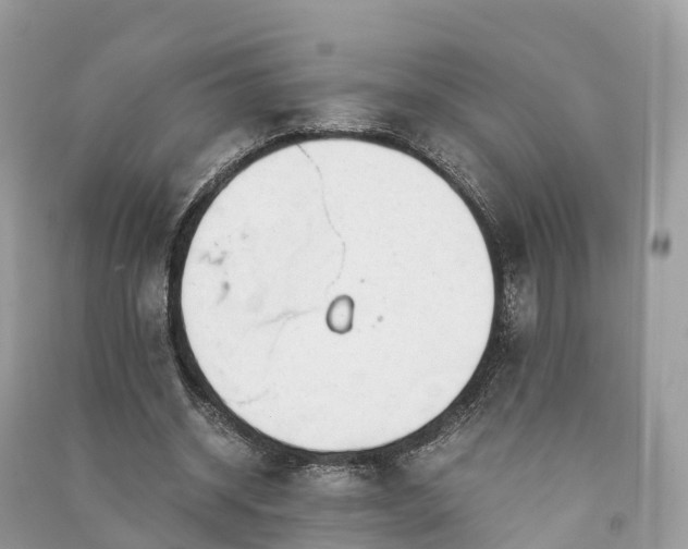 X0000091010534200708091603