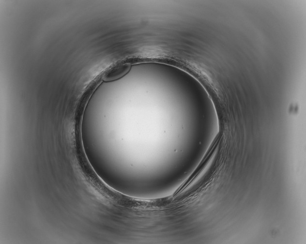 X0000091010535200708091603
