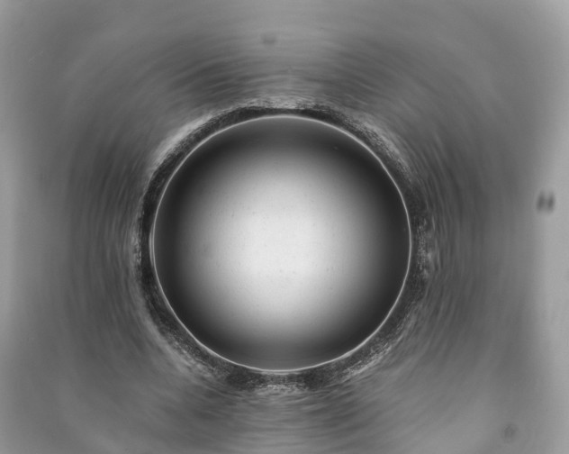 X0000091010536200708091603