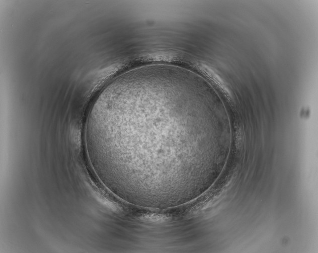 X0000091010537200708091603