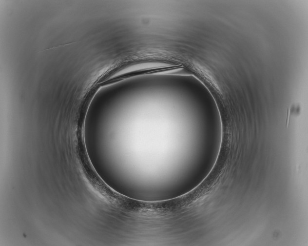 X0000091010538200708091603