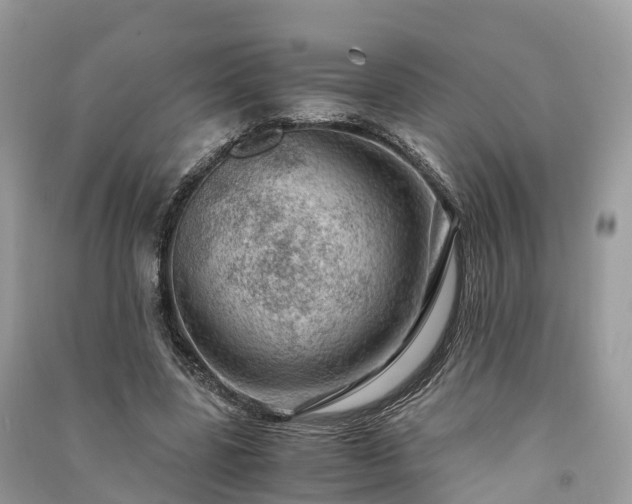 X0000091010539200708091603