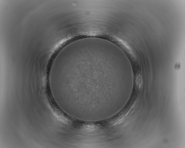 X0000091010540200708091603
