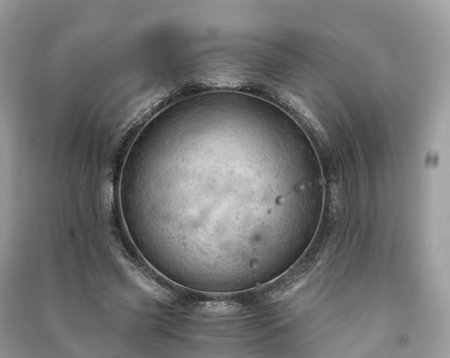 X0000091010541200708091603