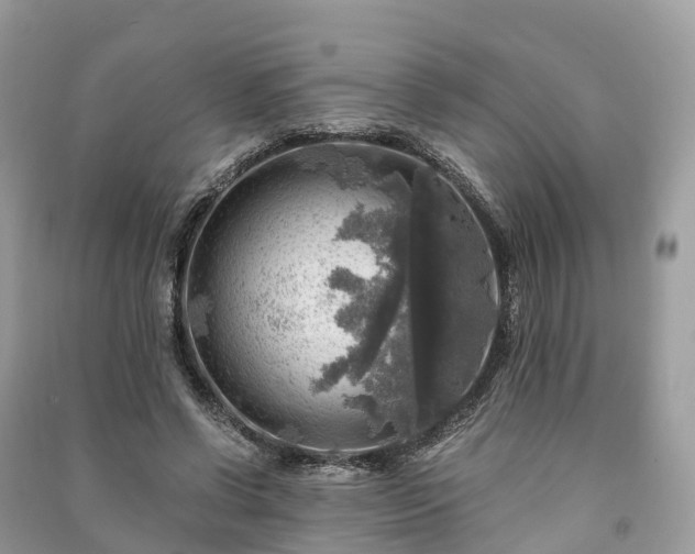 X0000091010542200708091603