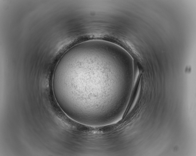 X0000091010543200708091603