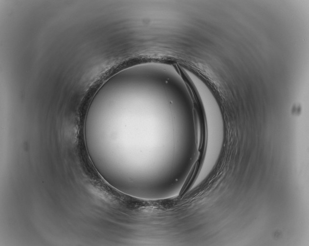 X0000091010544200708091603