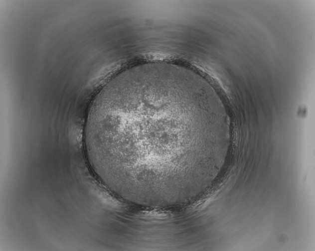X0000091010545200708091603