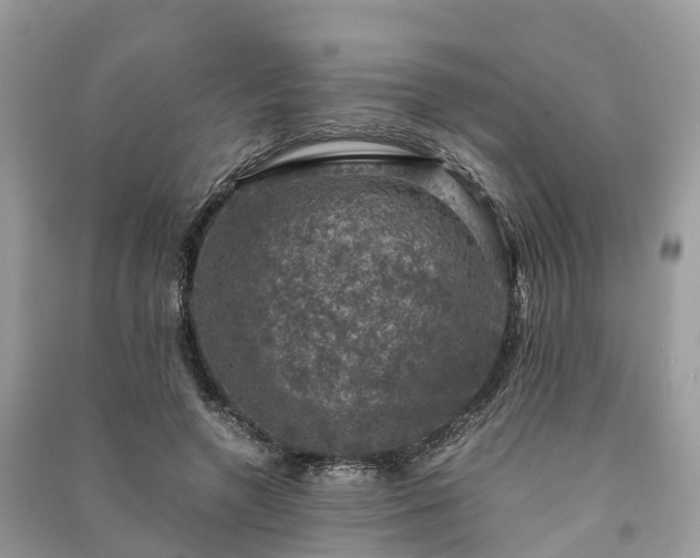 X0000091010546200708091603