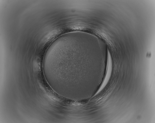 X0000091010547200708091604