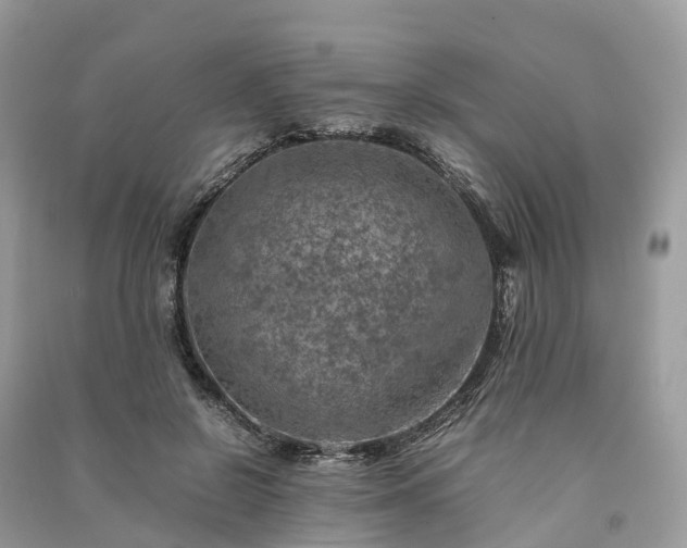 X0000091010550200708091604